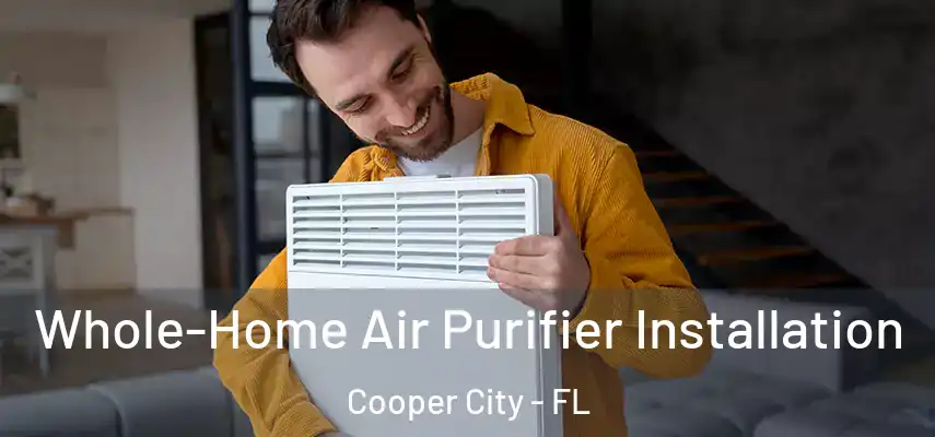  Whole-Home Air Purifier Installation Cooper City - FL